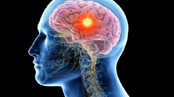 La Importancia De La Actividad Mental Para Ejercitar El Cerebro